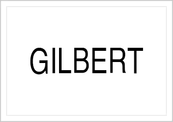 GILBERT CUSTOM CUES （ギルバート）