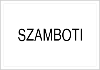 SZAMBOTI CUES (バリー ザンボッティ)
